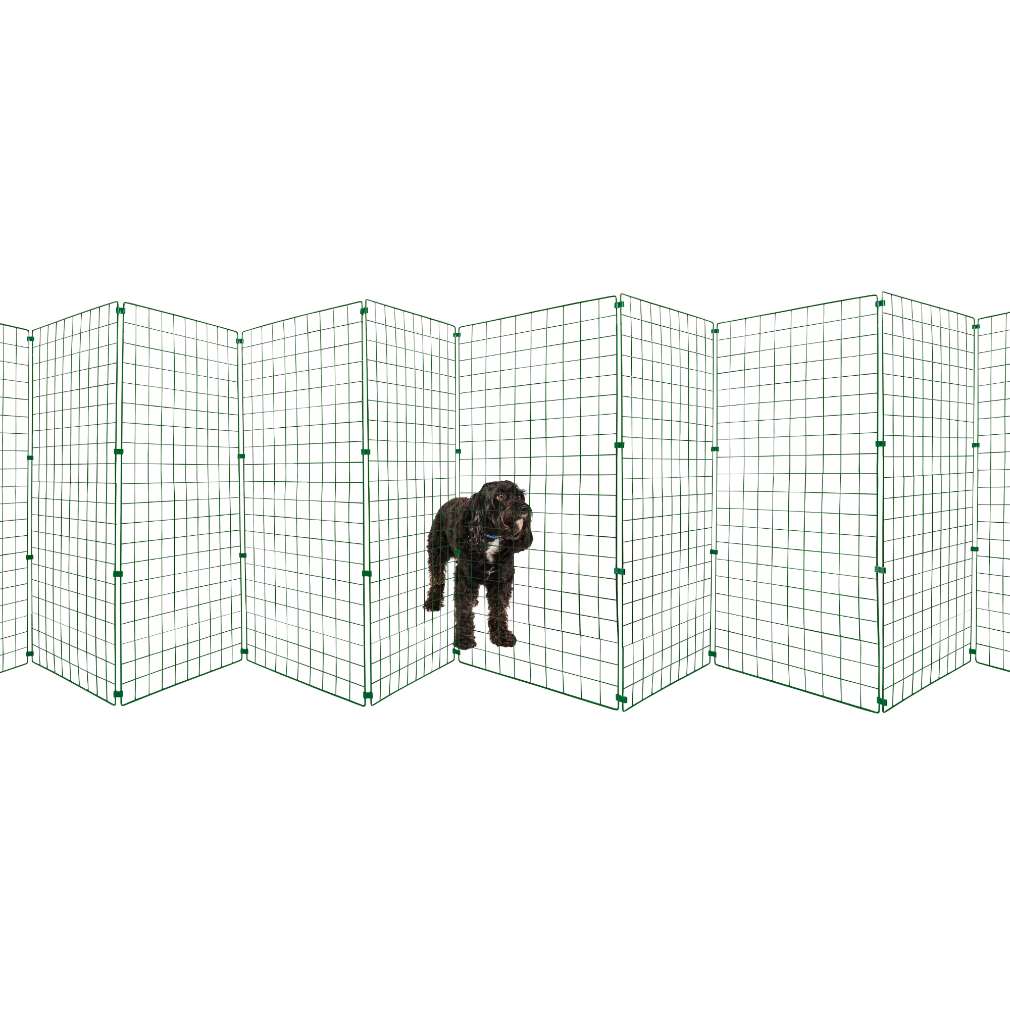 Free standing fencing for dogs best sale