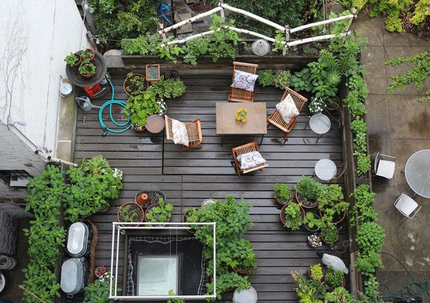 No Allotment, No Problem - &nbsp;Compact Gardening Solutions for City Dwellers