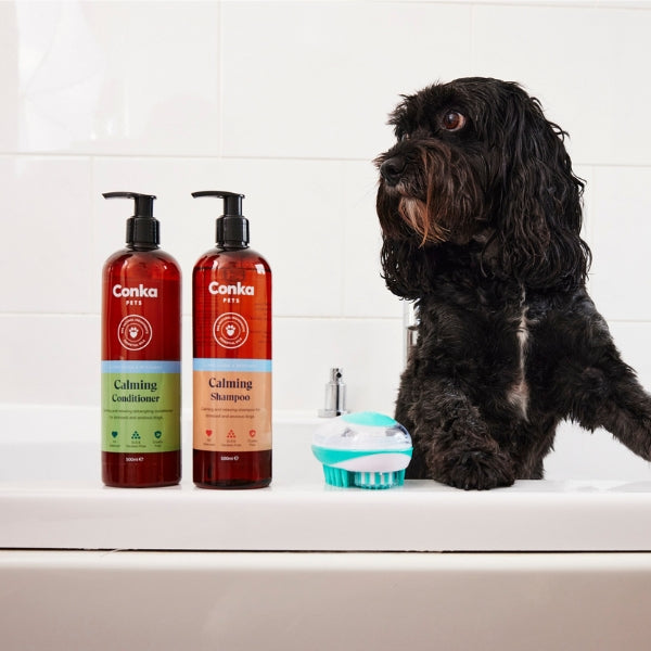 The Benefits Of Dog Grooming: How Conka UK’s New Range Can Help