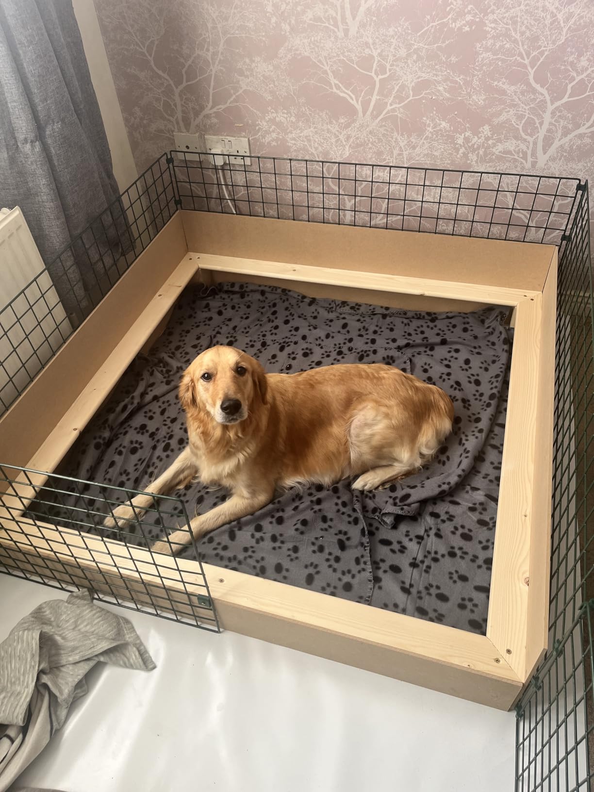 5ft dog outlet gate