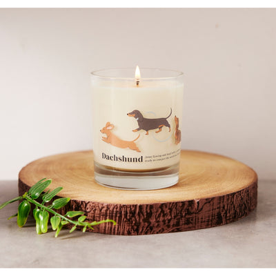 Cute Daschund Luxury Candle