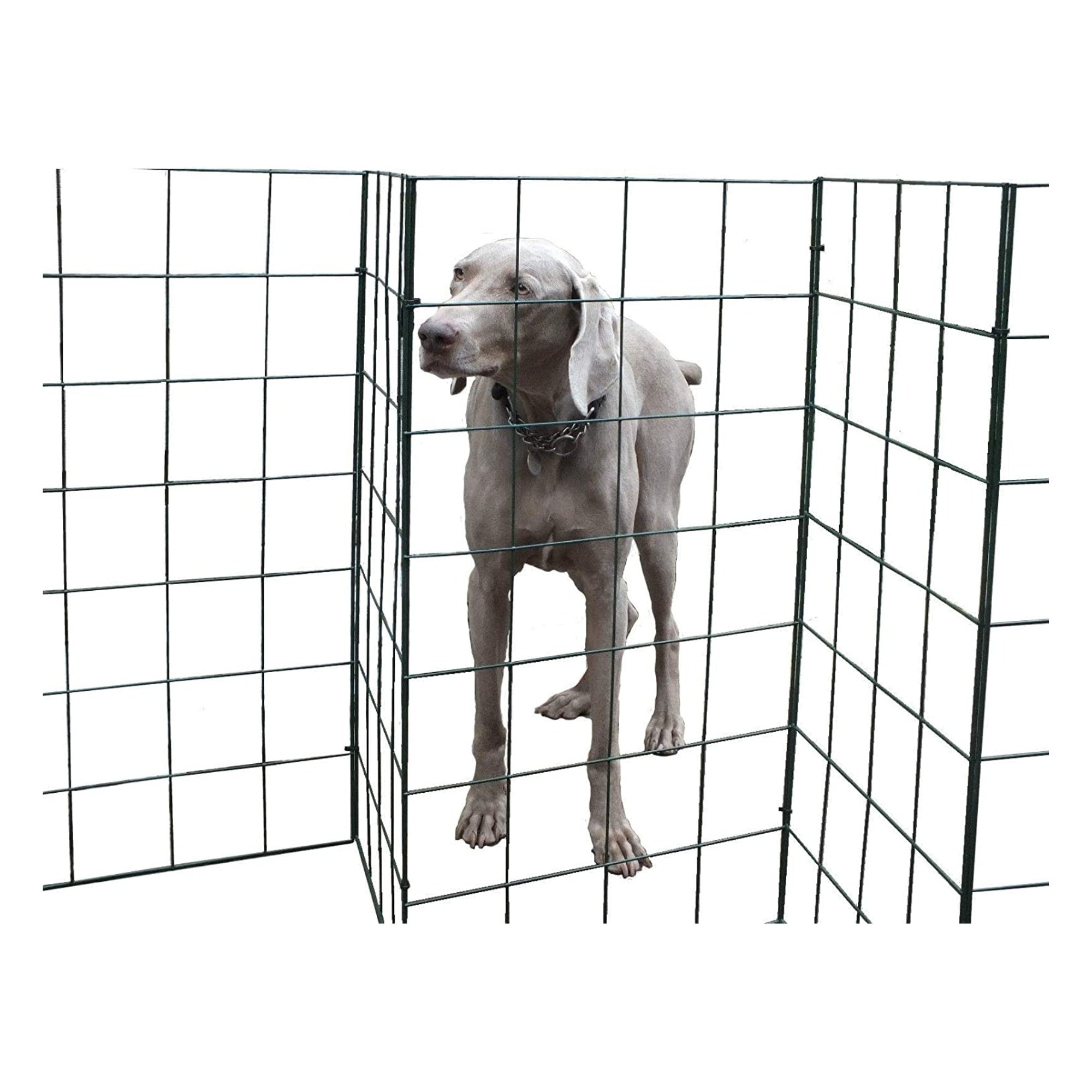 Flexible dog gate best sale