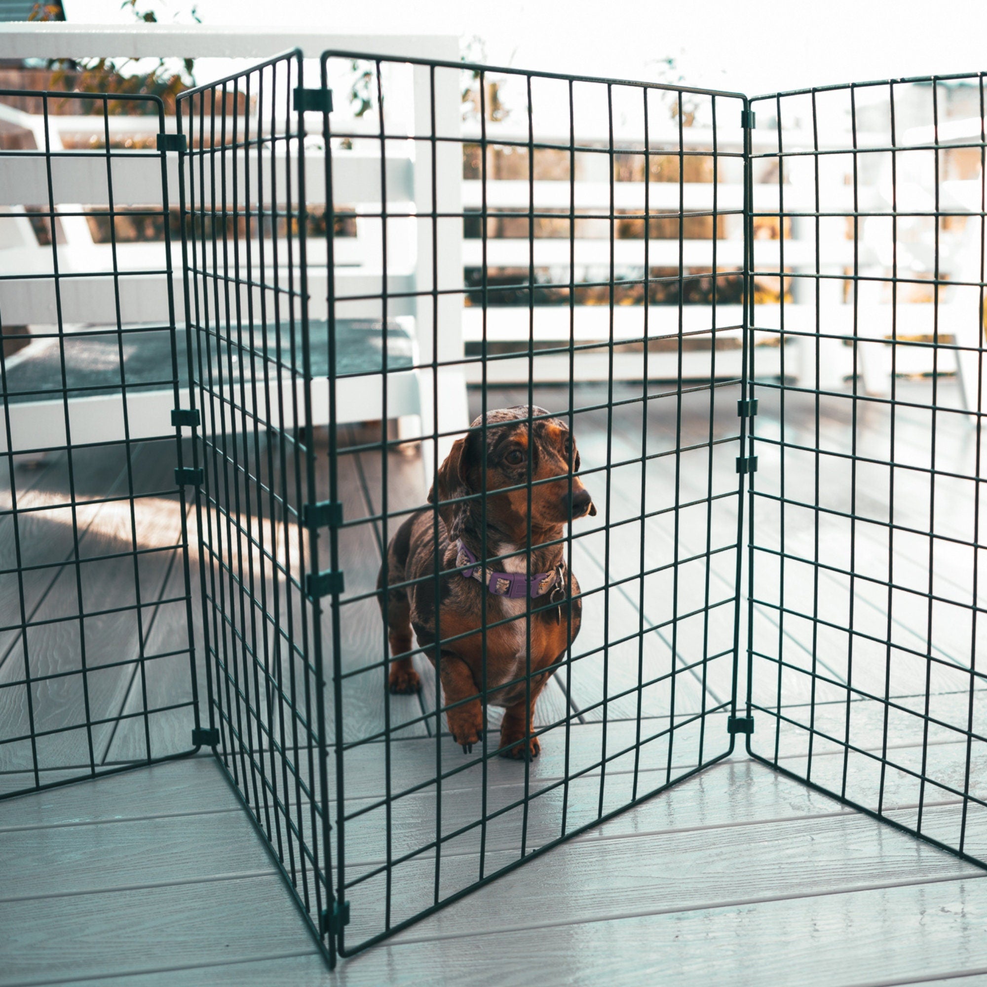 75cm High Folding Dog Fence 50mm x 50mm Mesh Ideal for Puppy Small Dogs