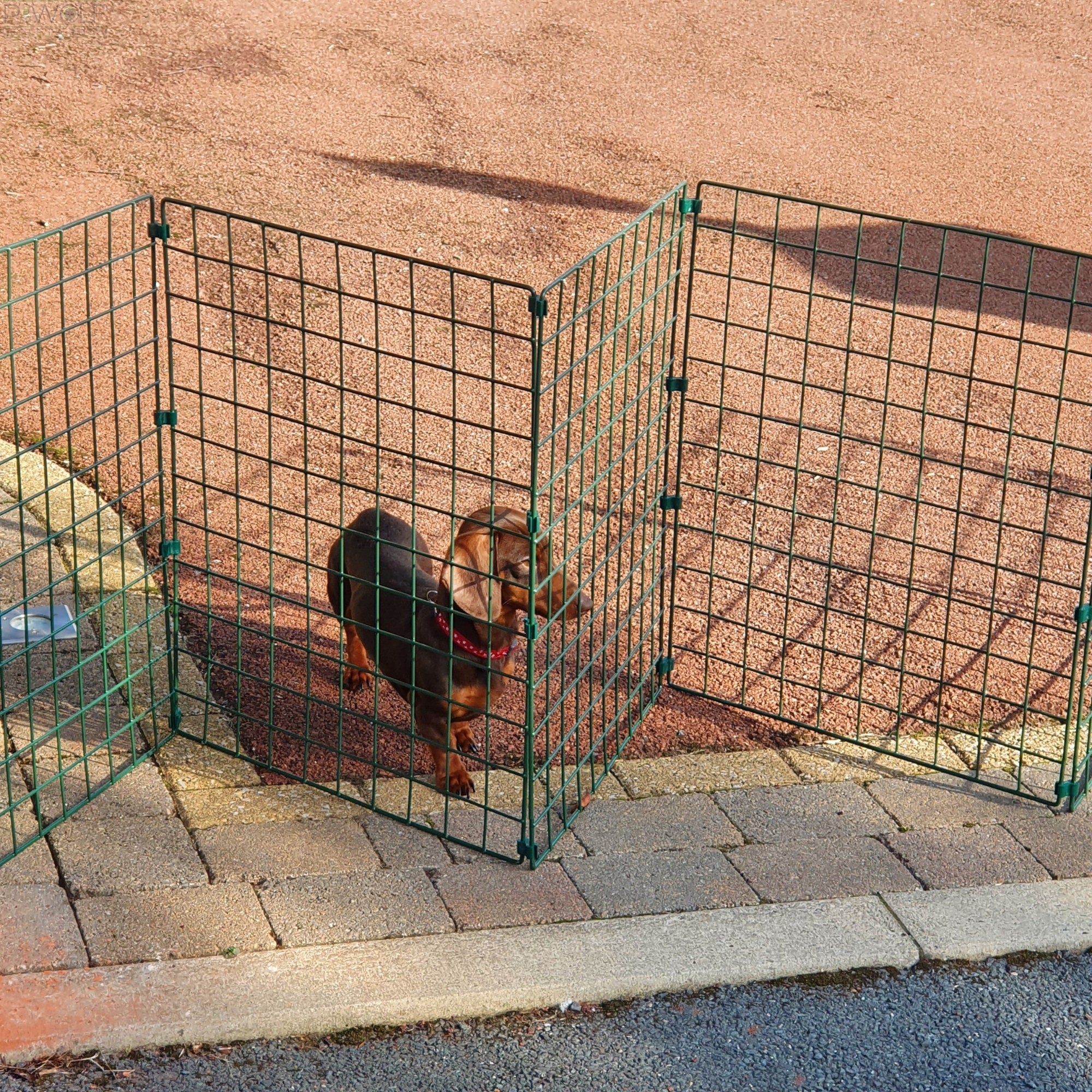 Outdoor Dog Fencing Conka UK