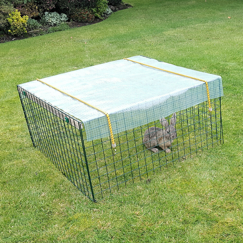 Bunny outdoor playpen best sale